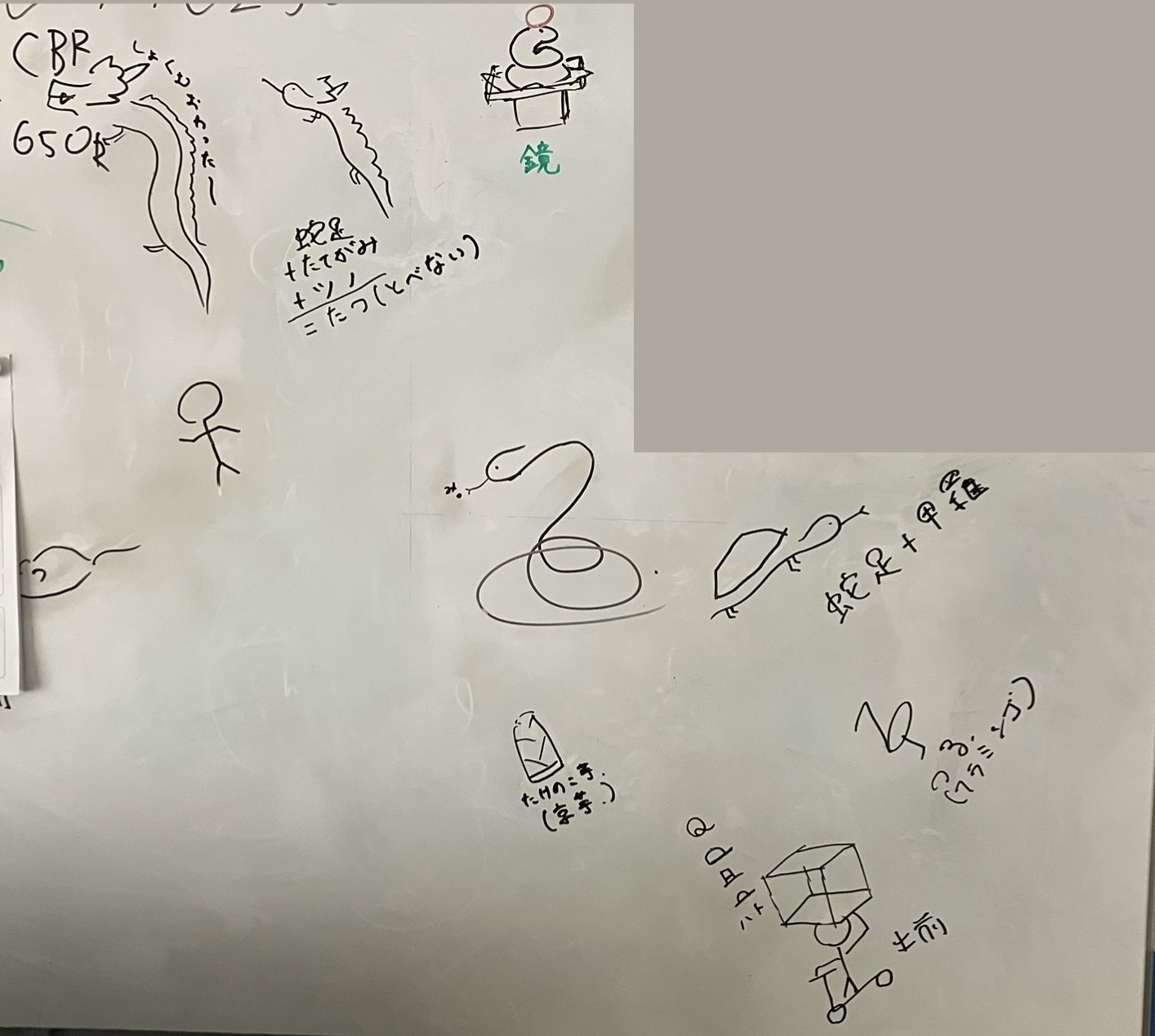 干支の絵。今年の干支のヘビや龍、あと好き勝手に書いた羊や鏡餅のヘビなどいろいろ。