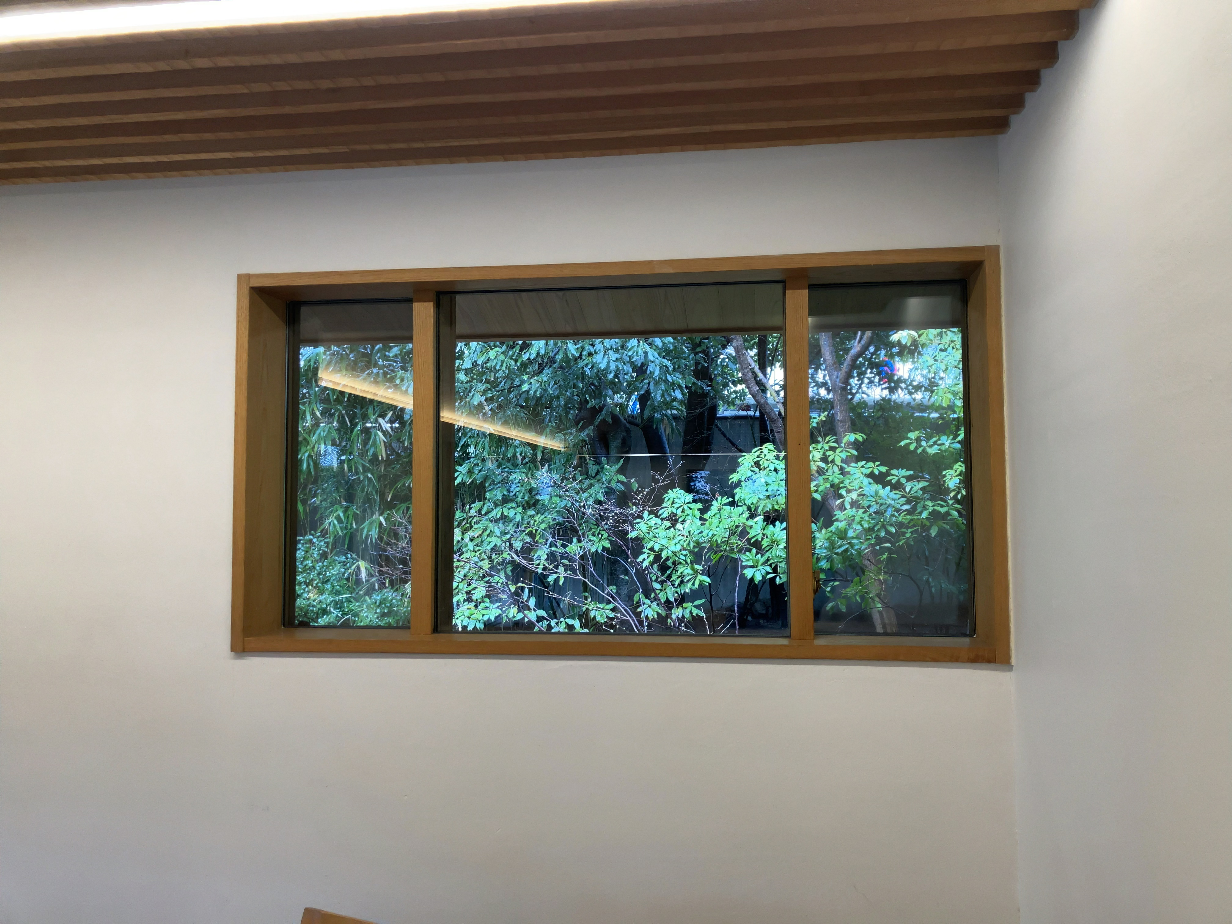 窓で切り取られた緑とその奥には新神戸駅