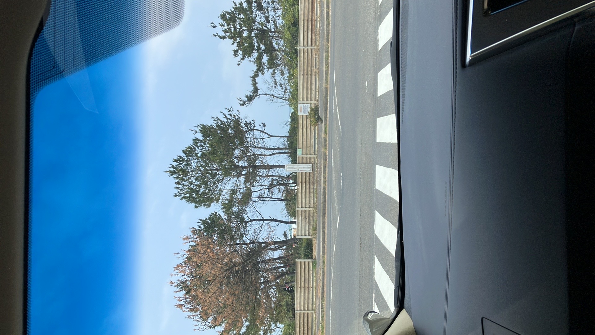 日本海が見える道